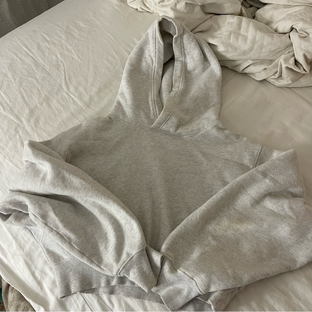 Aritzia TNA perfect shrunken hoodie